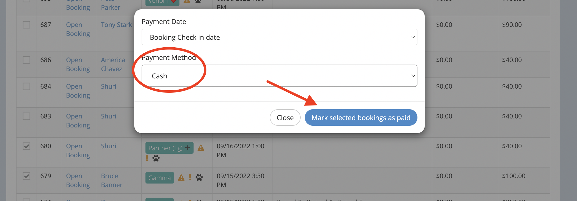 Screen_Shot_2022-12-13_at_12.29.42_PM.png